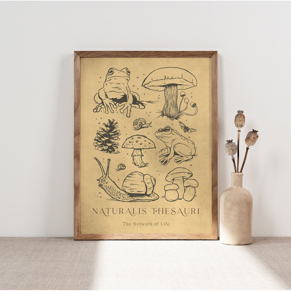 Vintage Mushrooms and Frogs Poster, Vintage Wall Art Print, Poster Wall Art, Retro Exibition poster Print, Gallery Wall Art, Wall Decor.jpg
