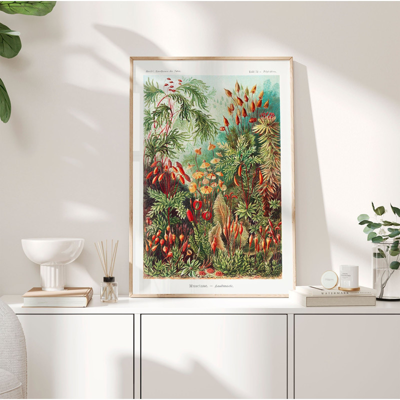 Vintage Botanical Poster, 1904 - Haeckel Prints, Trees and plants Art Poster, Nature Print, Tropical wall art, Moss, Birthday Gift PS0291.jpg