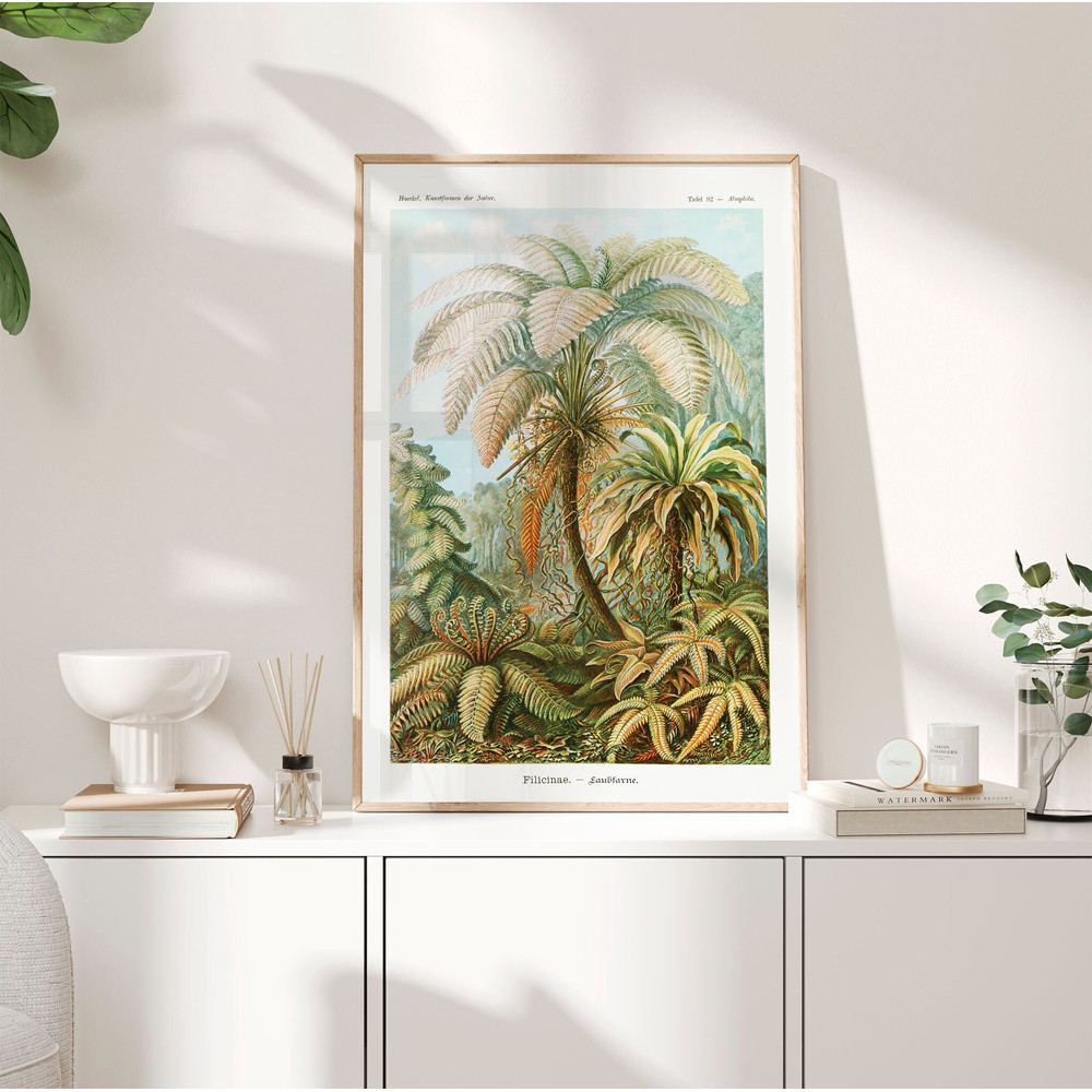 Vintage Botanical Poster, 1904 - Haeckel Prints, Palm Trees and plants Poster, Nature Print, Tropical wall art, Jungle, Birthday Gift PS0292.jpg