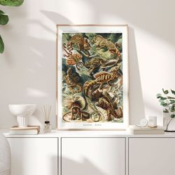 lizards vintage poster, 1904 - haeckel prints, reptile retro poster, nature print, lizard wall art, zoology art print, b