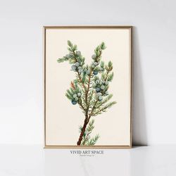mountain juniper vintage christmas tree print winter botanical painting holiday wall decor printable wall art digit