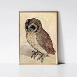 little owl, albrecht durer antique bird painting renaissance animal watercolor print printable farmhouse wall art di