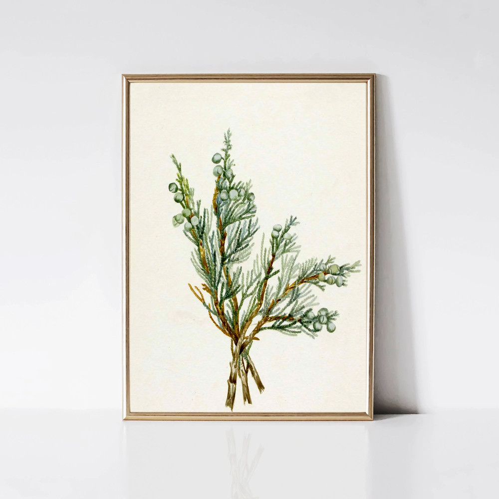 Juniper Branch Painting  Vintage Christmas Tree Print  Winter Botanical Still Life Print  Printable Farmhouse Wall Art  Digital Download.jpg