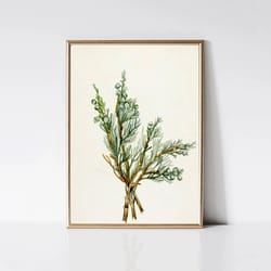 juniper branch painting vintage christmas tree print winter botanical still life print printable farmhouse wall art