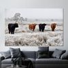 Cow Photo Glass, Highland Cow Glass Wall, Large Canvas, Highland Cow Canvas Gift, Animal Poster, Wall Art Painted Glass, Farmhouse Wall Art,.jpg