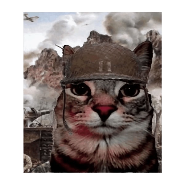 Thousand Yard Stare Funny Soldier Cat Meme in Battlefield, P | Inspire ...