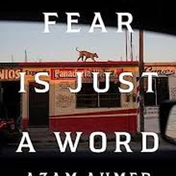 Fear Is Just a Word: A Missing Daughter, a Violent Cartel, and a Mother's