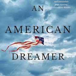 An American Dreamer : Life in a Divided Country by David Finkel