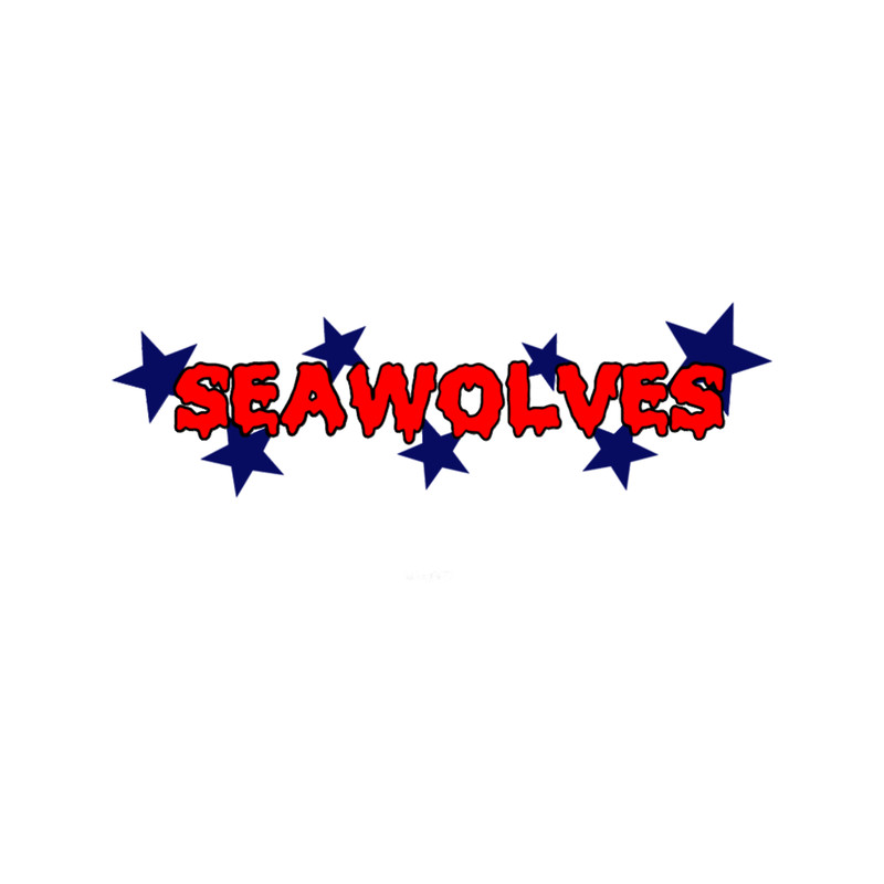 SBU Seawolves .png