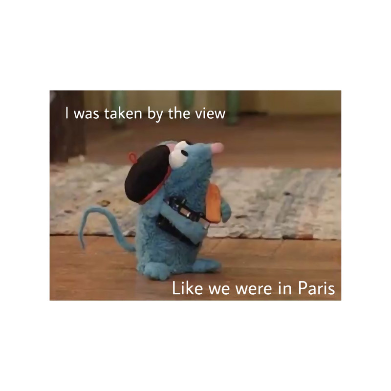 tutter x paris .png
