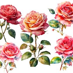 Rose SVG, Rose on stem svg, Rose pictures, 5 beautiful roses on a transparent background.