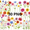 Wild Flower Clipart Wild Flowers 30 Png Greenery Clipart Wildflower Clipart Daisy Clipart 0