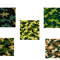 Army Digital Paper Camouflage Pattern Military Pack Seamless Camouflage Backgrounds 2