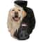 Black & Yellow Labrador Retriever Lover Gift Hoodie 3D, Personalized All Over Print Hoodie 3D