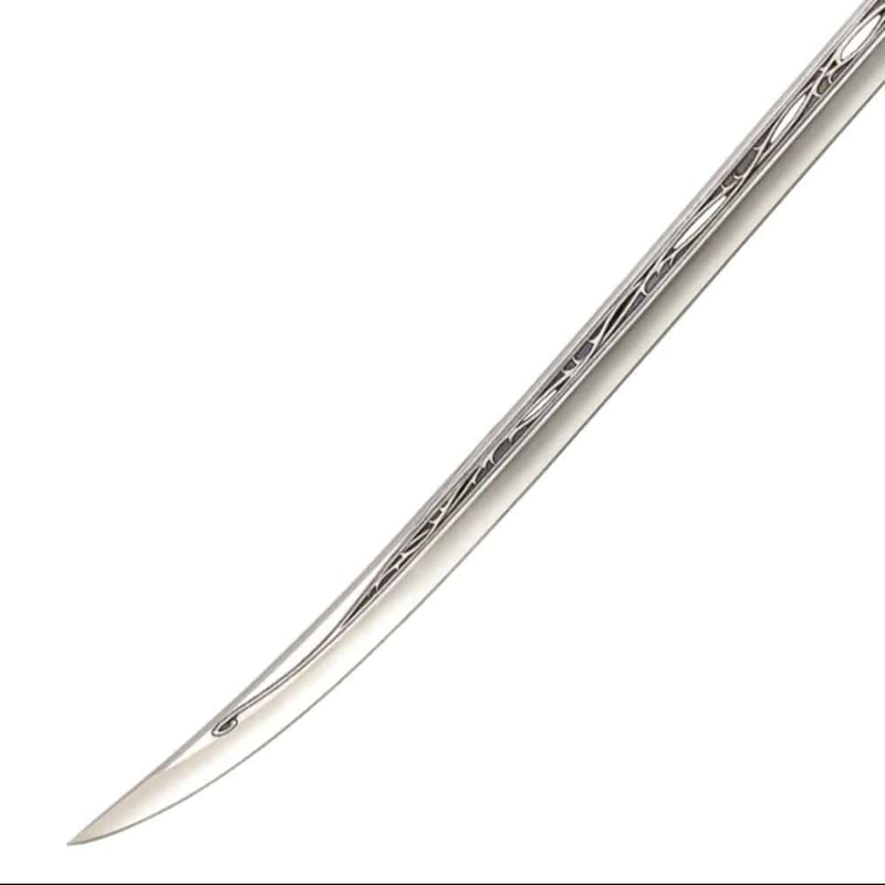 apexswd=24527 (1).jpg