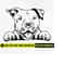 MR-1432024153256-american-pit-bull-svg-pitbull-svg-peeking-dog-svg-dog-paw-svg-doggo-svg-doge-svg-cute-dog-svg-dog-stickers-dog-puppy-clipart-image-1.jpg