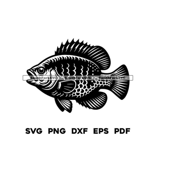 Panfish Vector Bluegill Panfish Sunfish | svg png dxf eps pdf | transparent - Inspire ...