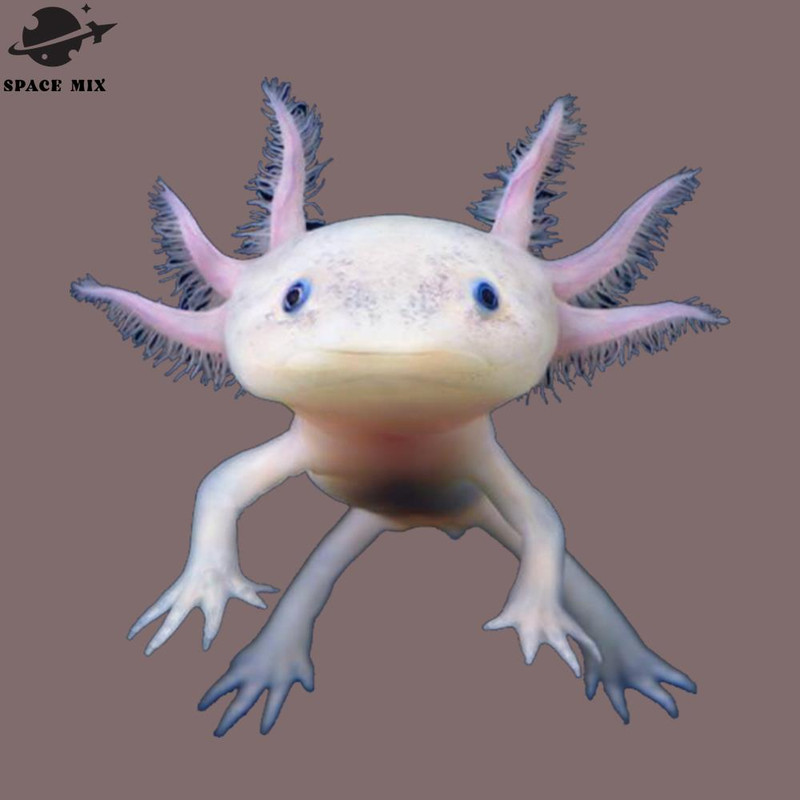 SM221223836-Axolotl PNG Design.jpg