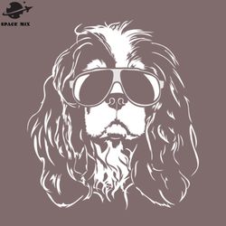 cool cavalier king charles spaniel with sunglasses png design