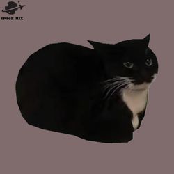 maxwell the cat png design