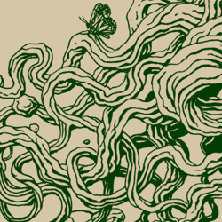 tree shirt - tree tshirt - men's graphic tee - tree of life - scatterbrain tees - cool gifts