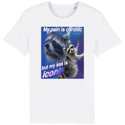 my pain is chronic but my ass is iconic funny raccoon meme t-shirt