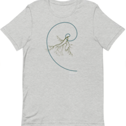 fibonacci curve with delicate branch | standard cotton t-shirt | men and women multiple colors