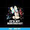 It's my birthday png