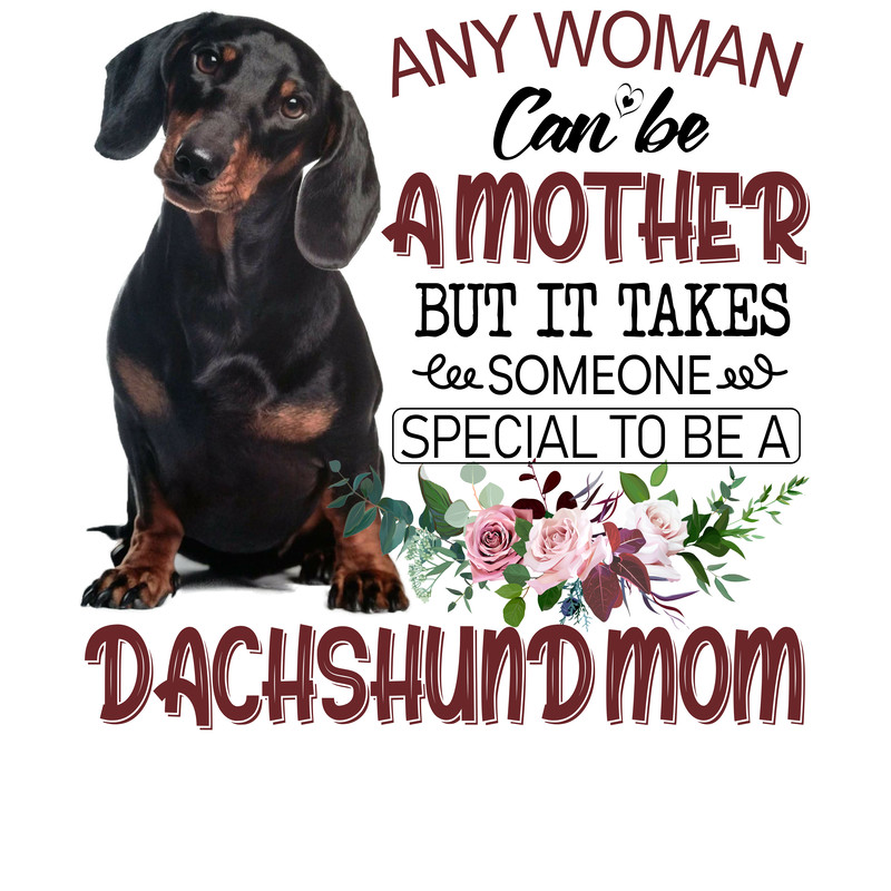 Any Woman Can Be A Mother But Its Take dashchun Shirt.png