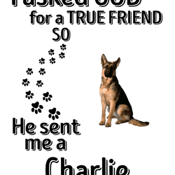 charlie shirt - unisex t-shirt