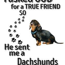 dachshunds shirt - unisex t-shirt