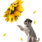 Dog And Sunflower Shirt.png
