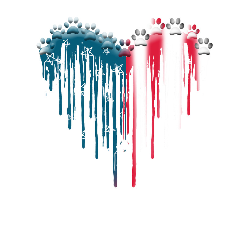 Dog Star American Shirt.png