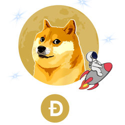 doge shirt - unisex t-shirt
