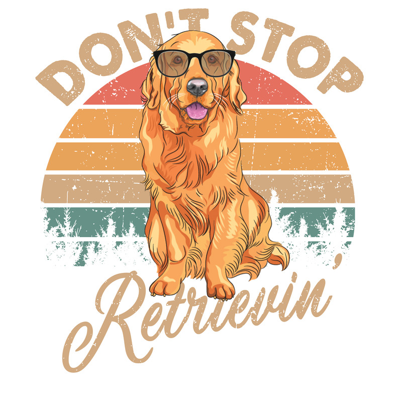 Don't Stop Retrievin' Vintage Shirt .png