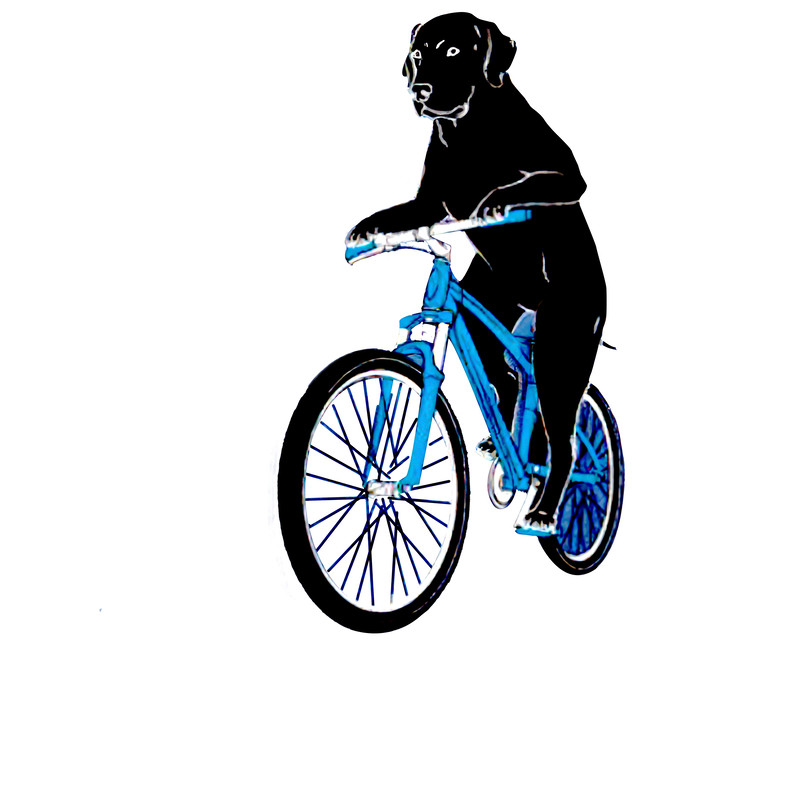 Don't Stop Retrievin' Shirt.png