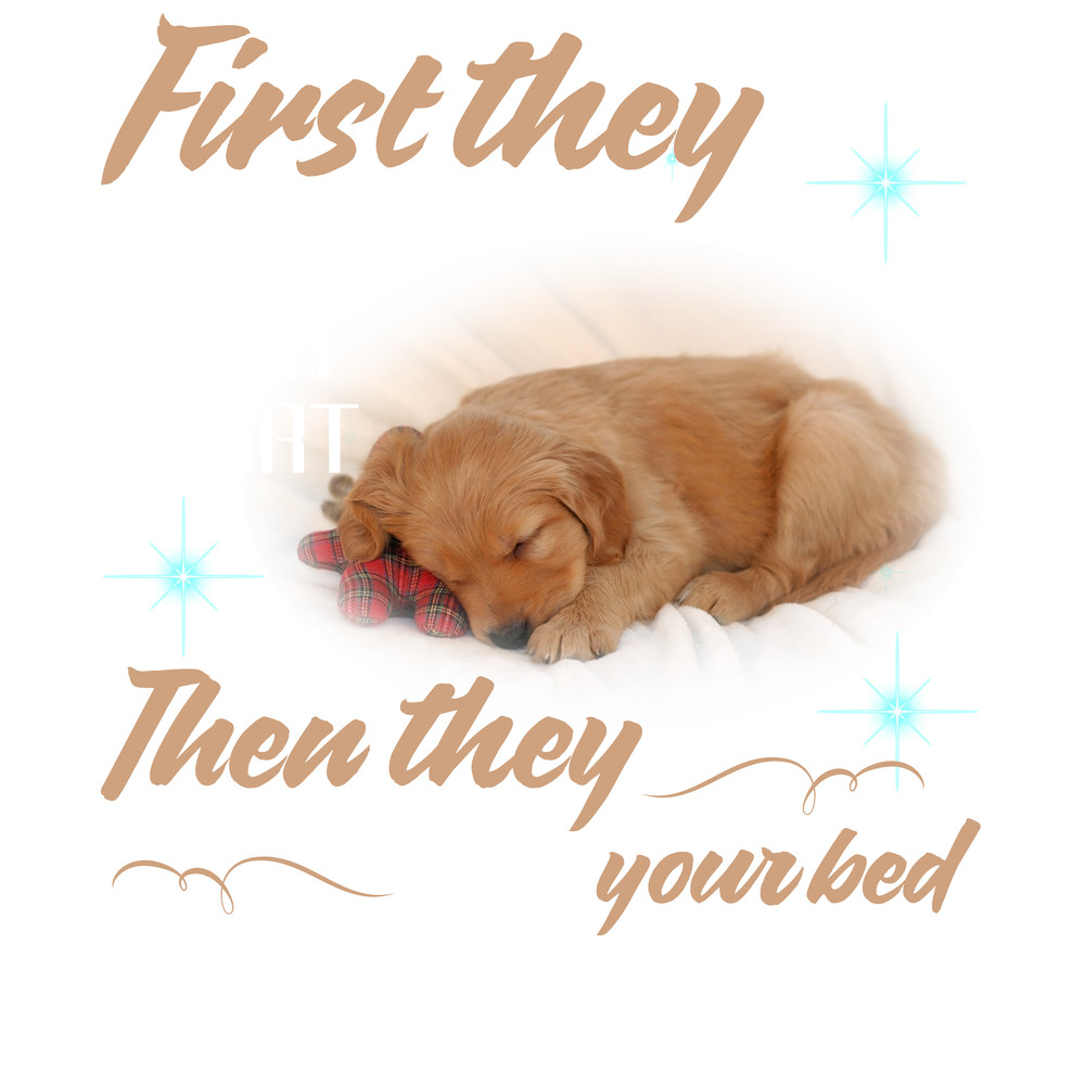 First They Steal Your Here Shirt.png