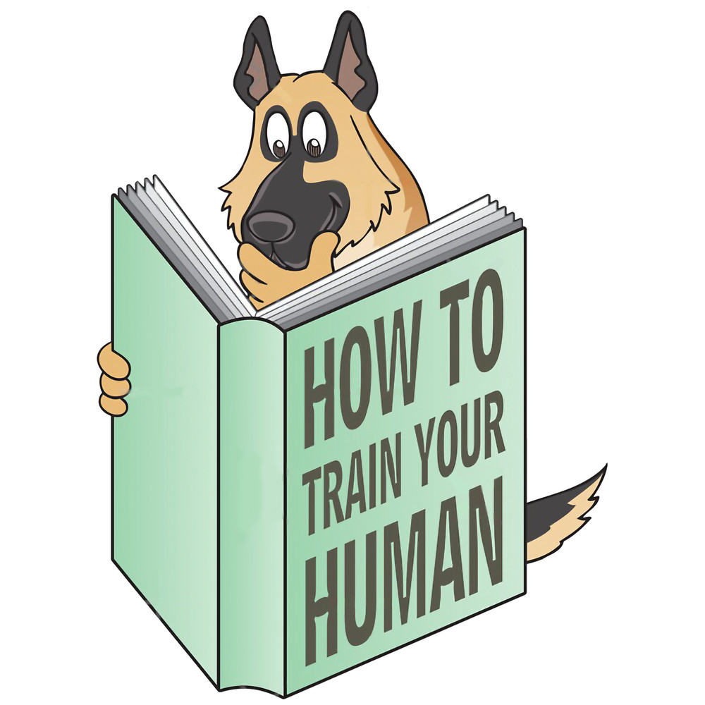 German Shepherd How To Train Your Human Essential Shirt.png