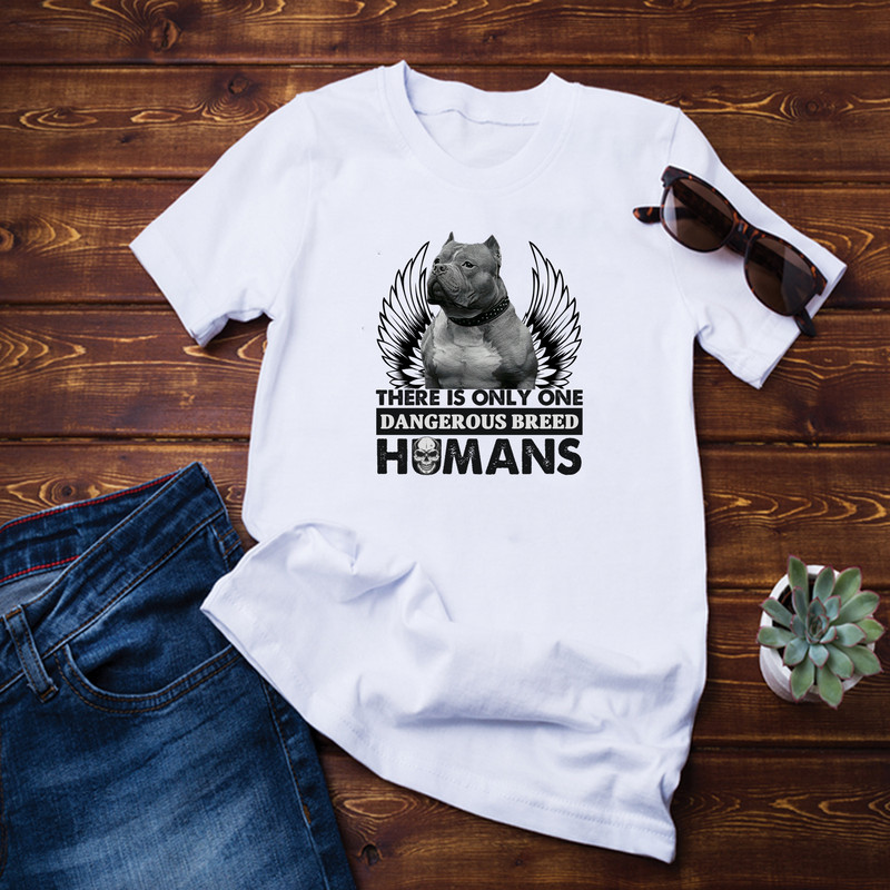 There Is Only One Dangerous Shirt.png