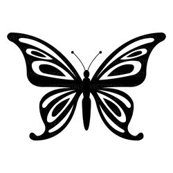 butterfly illustrated in vector and available in svg, pdf, eps, png, jpeg and ai format and available for instant downlo