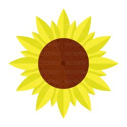 sunflower illustrated in vector and available in svg, pdf, eps, png, jpeg and ai format and available for instant downlo