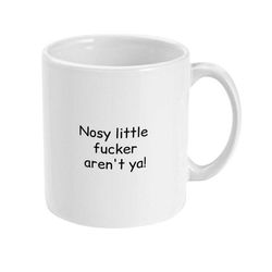 nosy little fucker aren't ya! funny coffee mug, inappropriate office worker mug, sarcastic swearing mug, funny insult gi