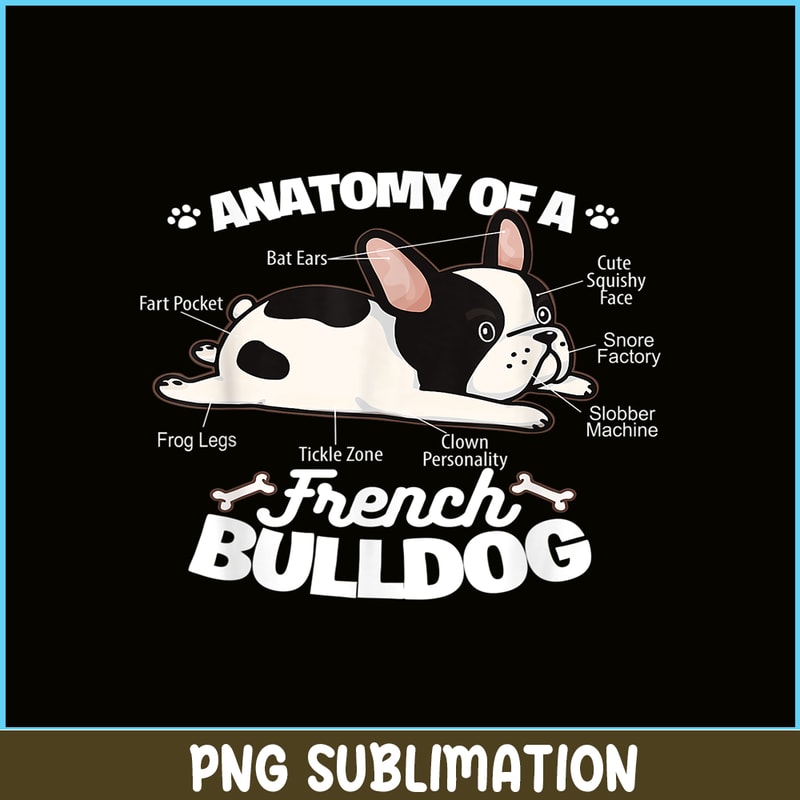 HL16102360-Anatomy Of A French Bulldog PNG, French Bulldog Graphic PNG, Bulldog Mascot PNG.png