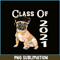 HL16102358-French Bulldog Graduating Class 2021 PNG, French Dog Artwork PNG, Bulldog Mascot PNG.png