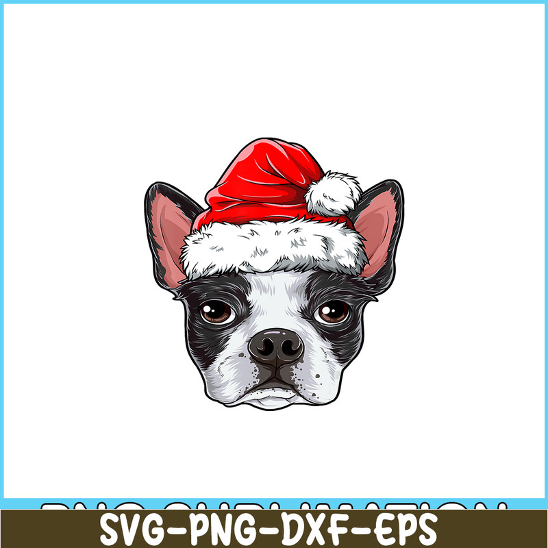 PNG141023104-Boston Terrier Christmas Dog Santa Hat Xmas Boys Kids Girls T-Shirt Png.png