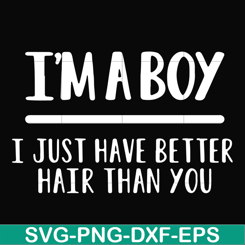 FN000394-I'm a boy I just have better hair than you svg, png, dxf, eps file FN000394.jpg