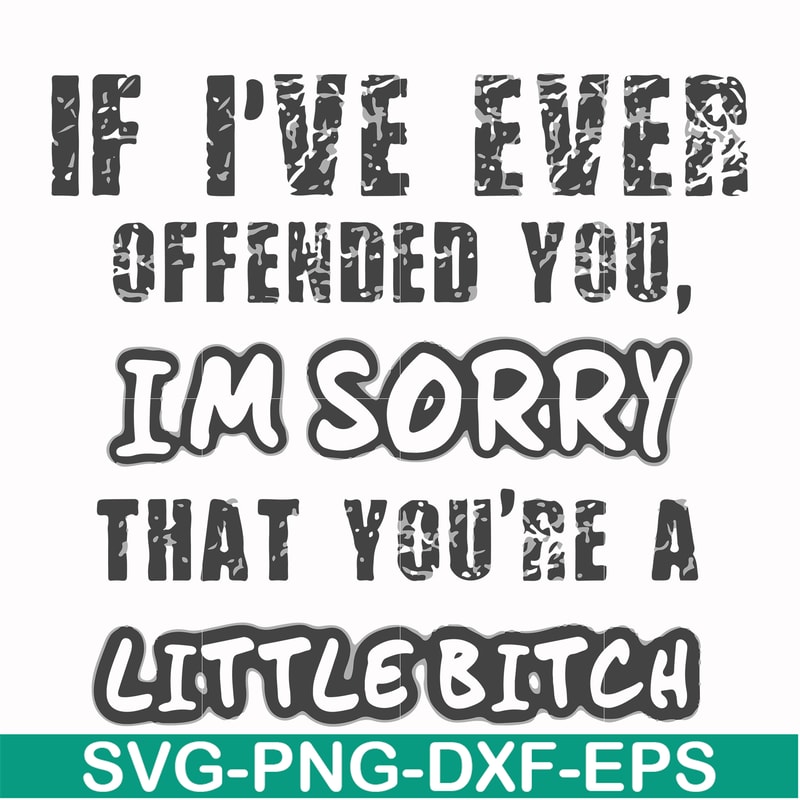 FN000662-If I've ever offended you Im sorry that you're a little bitch svg, png, dxf, eps file FN000662.jpg