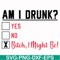 FN000481-Am I drunk yes no bitch I might be svg, png, dxf, eps file FN000481.jpg