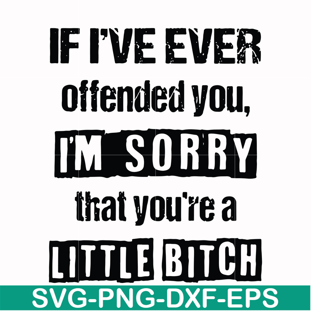 FN000663-If I've ever offended you Im sorry that you're a little bitch svg, png, dxf, eps file FN000663.jpg