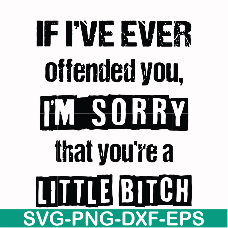 FN000663-If I've ever offended you Im sorry that you're a little bitch svg, png, dxf, eps file FN000663.jpg